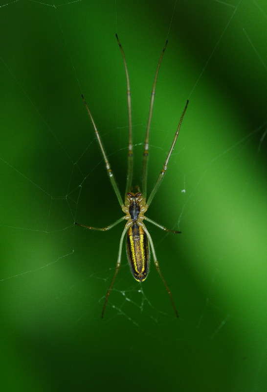 ������... ����� ��� ������ �� PhotoGeek.ru #�����