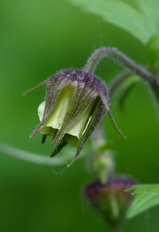 �����������... ����� ��� ������ �� PhotoGeek.ru #�����