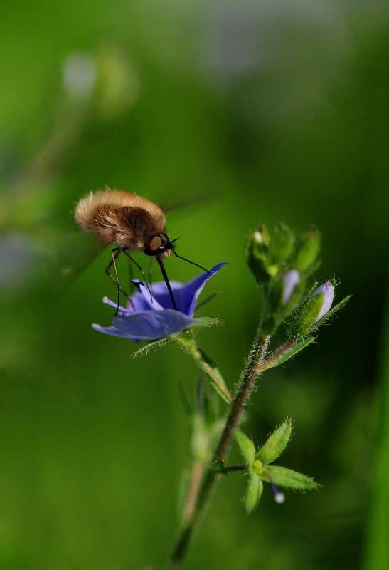 ������ ������... ����� ��� ������ �� PhotoGeek.ru #�����