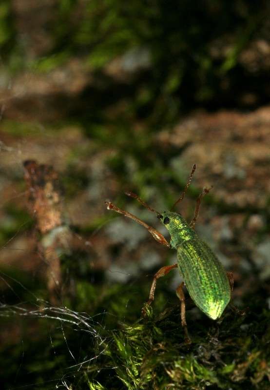 ���������... ����� ��� ������ �� PhotoGeek.ru #�����