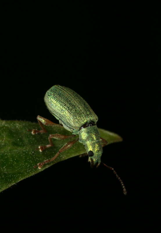 �� ��� �����... ����� ��� ������ �� PhotoGeek.ru #�����