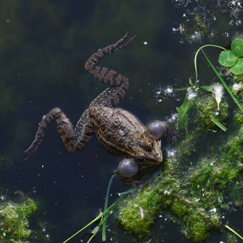 ���������... ����� ��� ������ �� PhotoGeek.ru #�������� ���