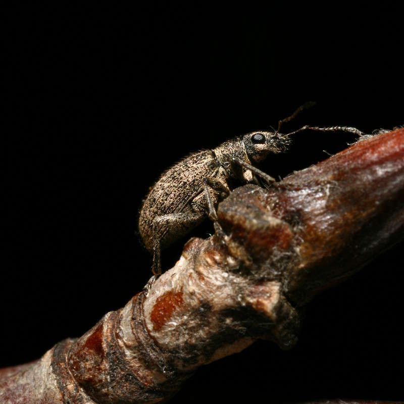 ��������... ����� ��� ������ �� PhotoGeek.ru #�����