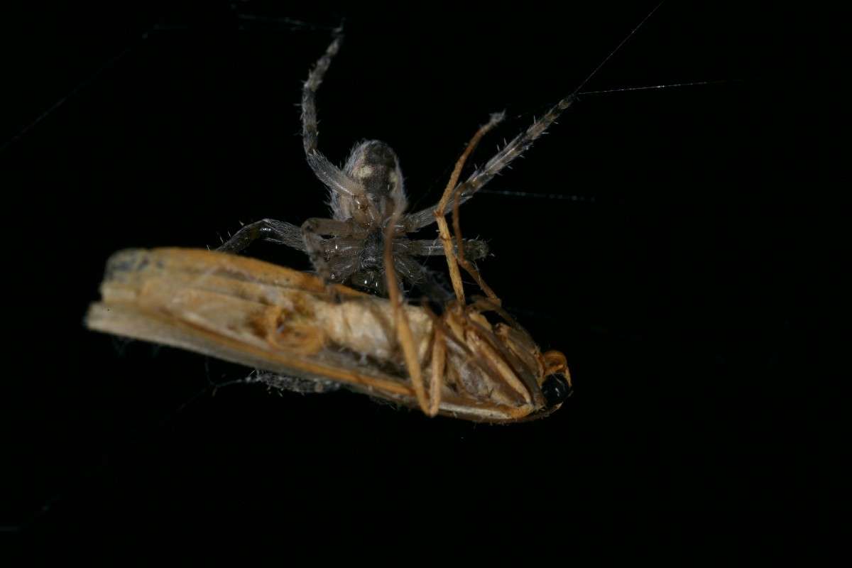 ��������� �������... ����� ��� ������ �� PhotoGeek.ru #�����