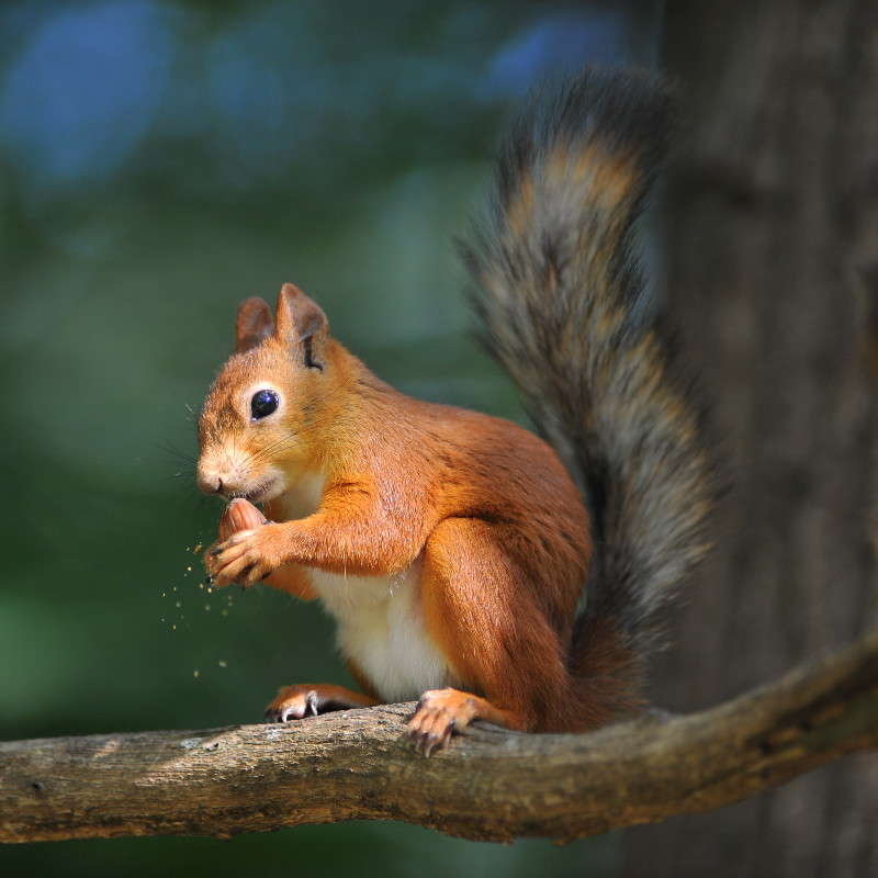 ���������... ����� ��� ������ �� PhotoGeek.ru #�������� ���