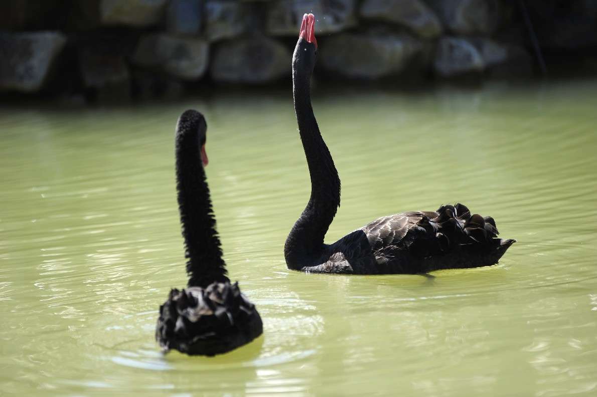 ���������� �����... ����� ��� ������ �� PhotoGeek.ru #�������� ���