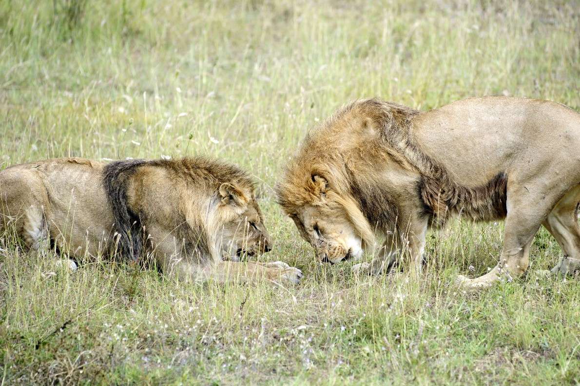 ��� ���� ��... ����� ��� ������ �� PhotoGeek.ru #�������� ���