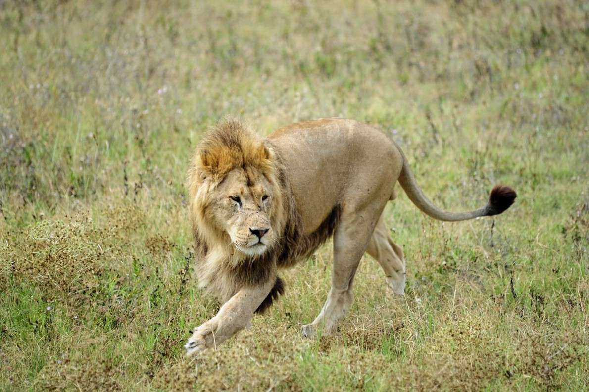 ���� ���������... ����� ��� ������ �� PhotoGeek.ru #�������� ���