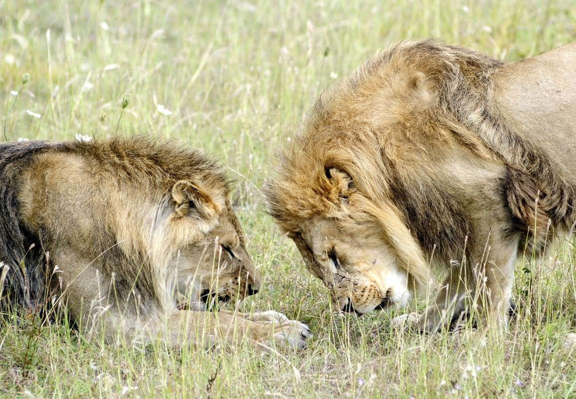 ���, ���-�� �������... ����� ��� ������ �� PhotoGeek.ru #�������� ���