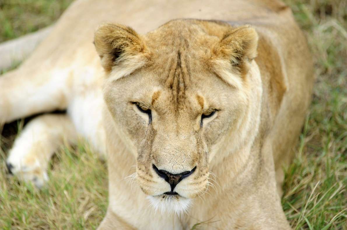 ������... ����� ��� ������ �� PhotoGeek.ru #�������� ���