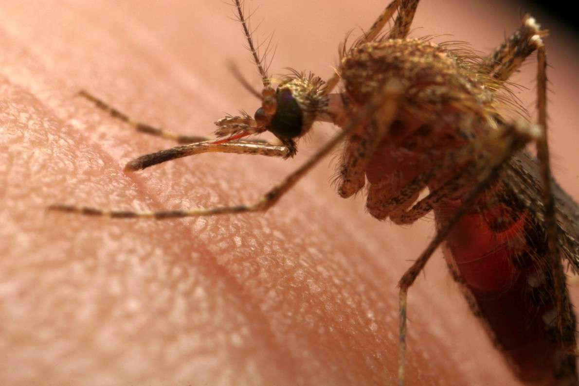 ���� ��� �����, ������... ))) ����� ��� ������ �� PhotoGeek.ru #�����