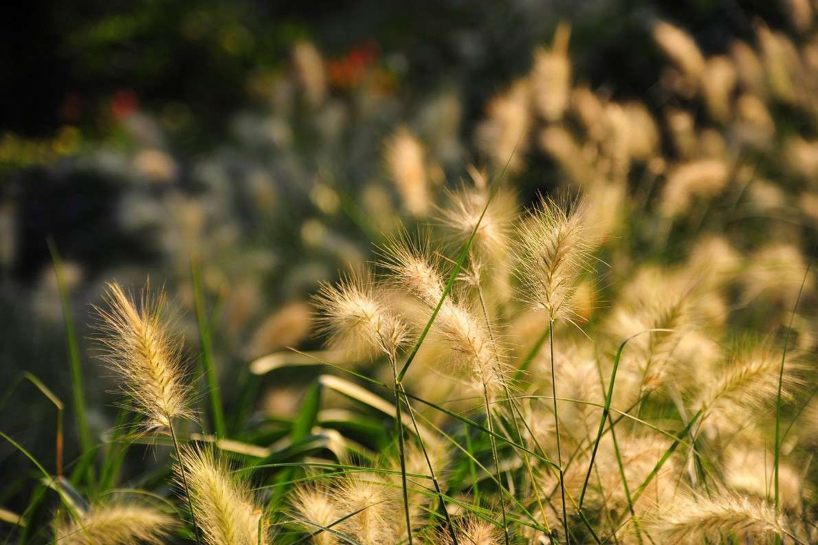 ���������� �����... ����� ��� ������ �� PhotoGeek.ru #������ ��� �������