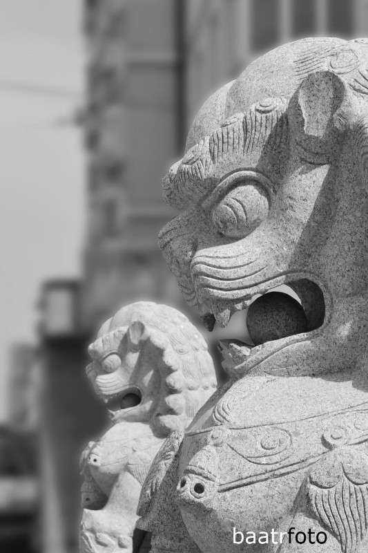 ���� ����� �����  �� PhotoGeek.ru #����� #������ ������