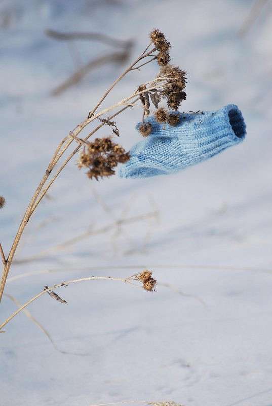 ���� �������:))) ����� �����  �� PhotoGeek.ru #������ ��� ������� #���������