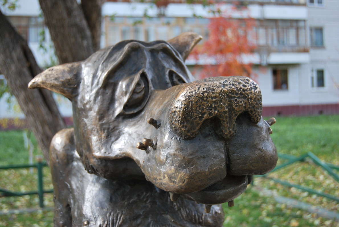 ����....������ ����� �����  �� PhotoGeek.ru #�����������