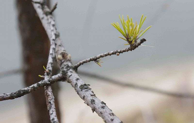 �������� ����� �����  �� PhotoGeek.ru #������ ��� ������� #���������