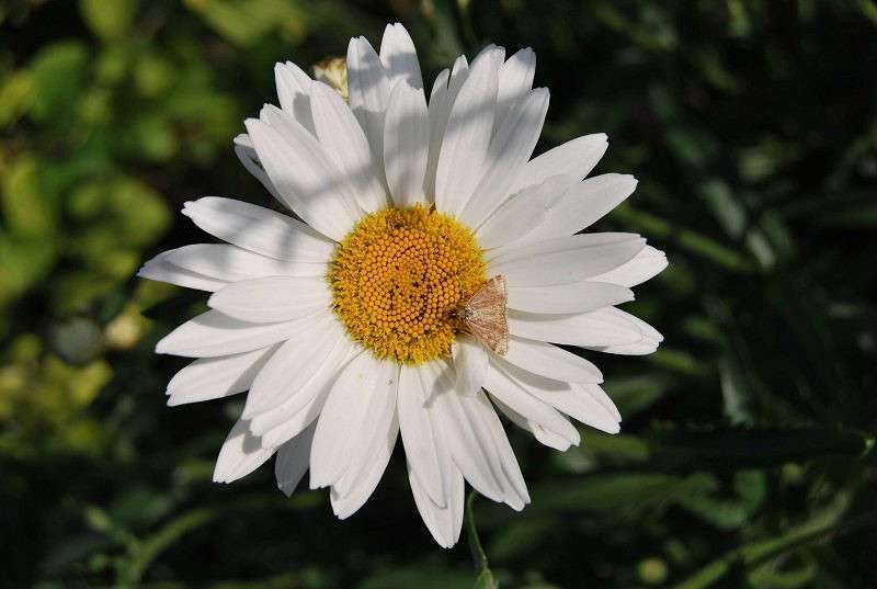 ����� ������������ ����� �����  �� PhotoGeek.ru #����� #����� ��������������