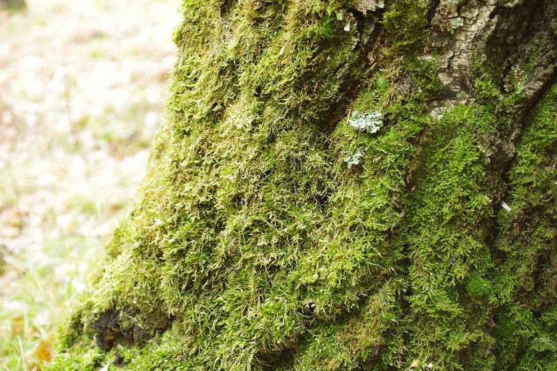 ������� ����� ����� �����  �� PhotoGeek.ru #����� #����� ��������������