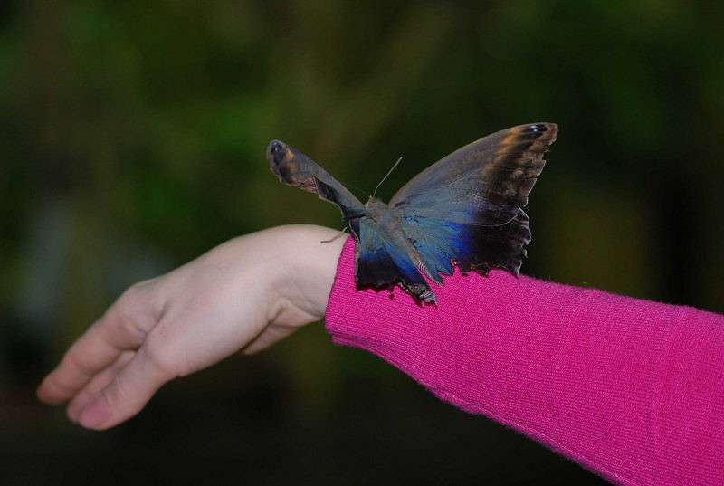 � ����� ������� ����� �����  �� PhotoGeek.ru #����� #���������