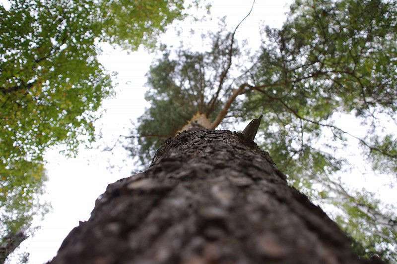 �������� � ���� ����� �����  �� PhotoGeek.ru #������ ��� ������� #���������