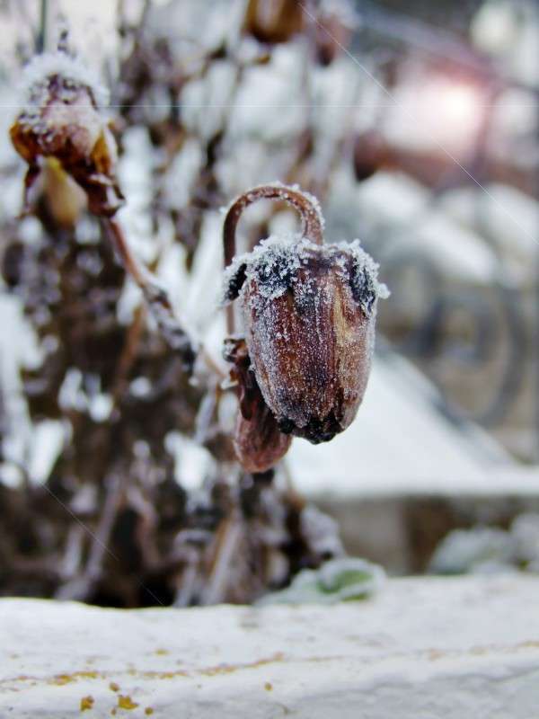 ... ����� ������� ������������ �� PhotoGeek.ru #������ ��� ������� #����� ��������������