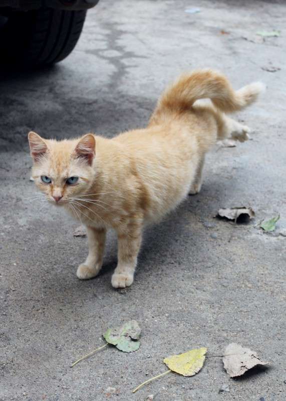 �����-������� ����� ������� ������������ �� PhotoGeek.ru #�������� ��� #������� #����� ��� ��� ��������� #������