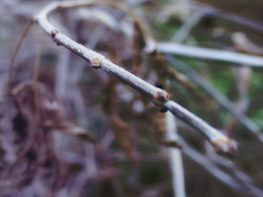 /// ����� ������� ������������ �� PhotoGeek.ru #����� #������ ��� ������� #����� ��������������