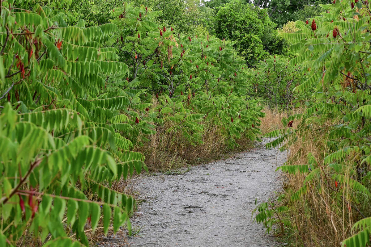 ����� ������ ����� �������  �� PhotoGeek.ru #������ ��� �������