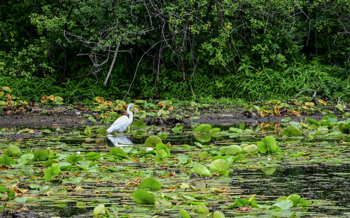 ����� ����� �������  �� PhotoGeek.ru #�������� ��� #������ ��� �������