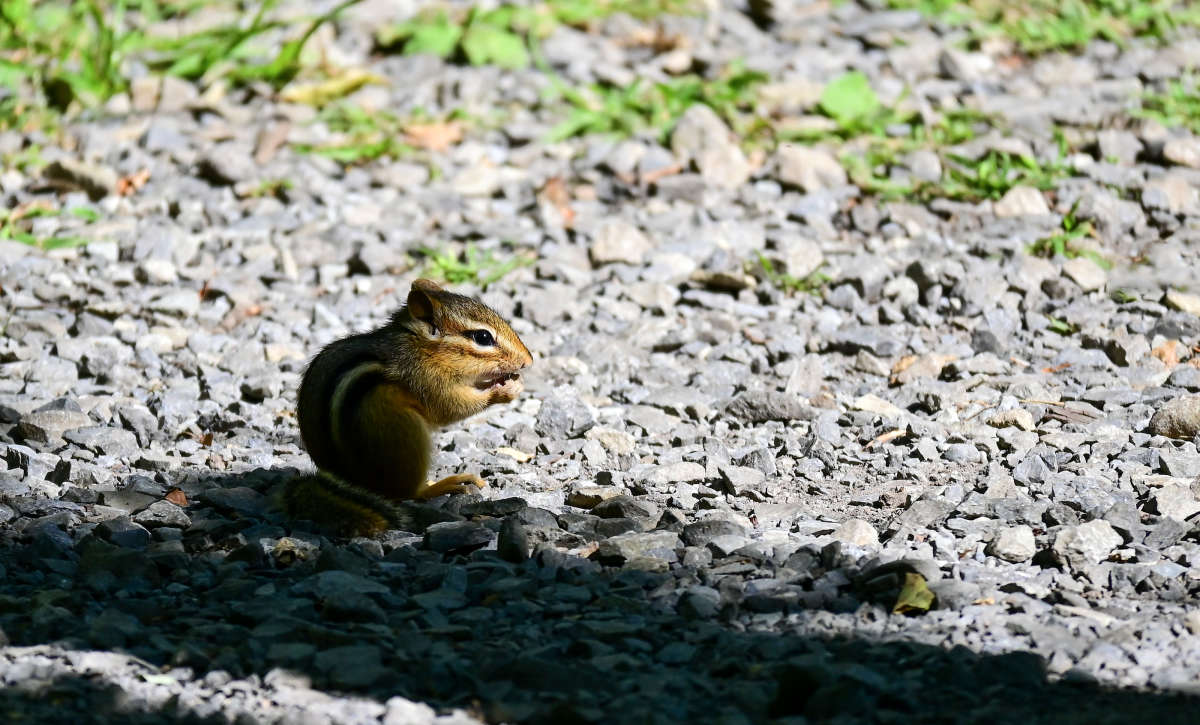 ������� � ���� ����� �������  �� PhotoGeek.ru #�������� ���