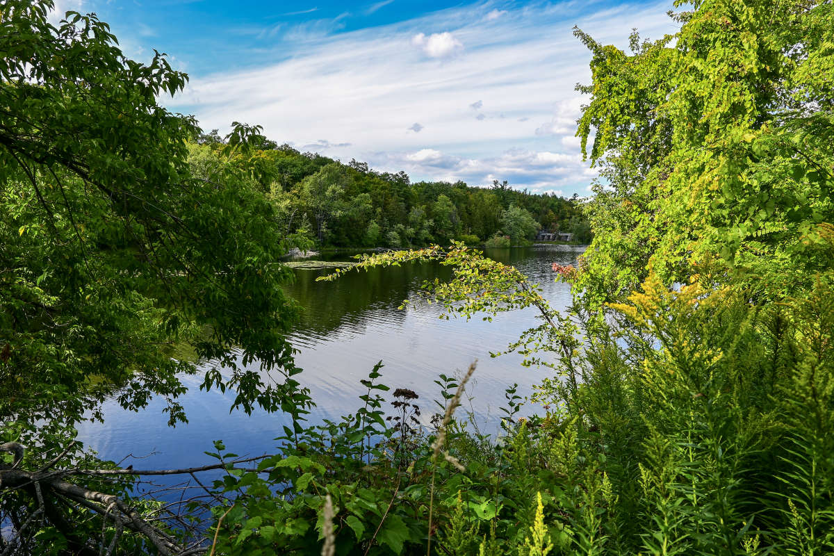 ������� ����� �����? ����� �������  �� PhotoGeek.ru #������ ��� �������