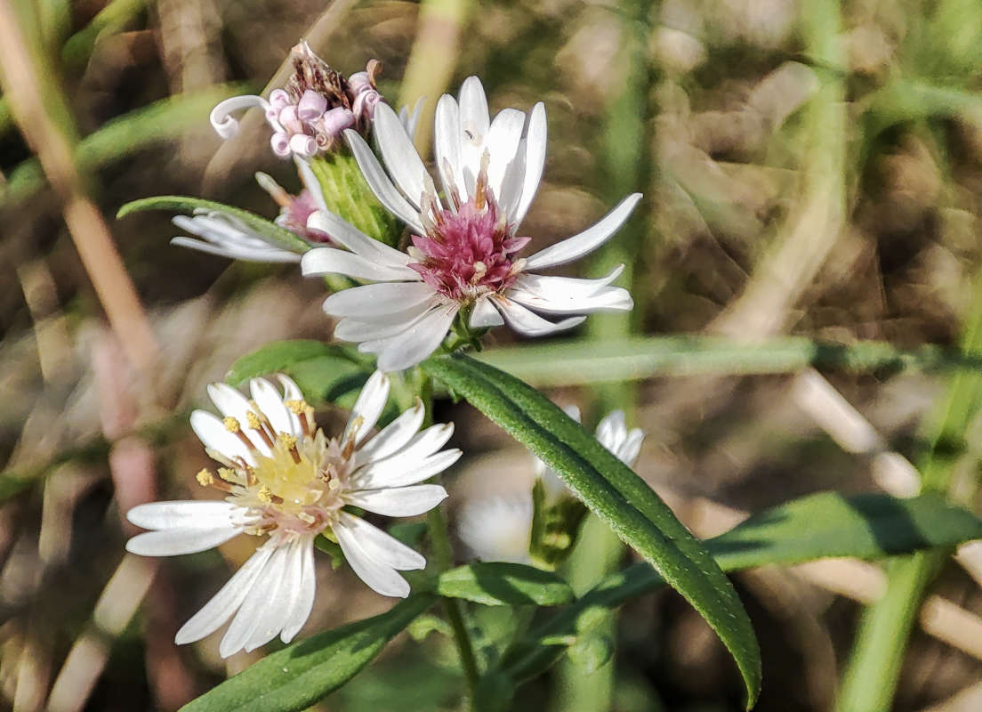 ��������� ����� �������  �� PhotoGeek.ru #�����