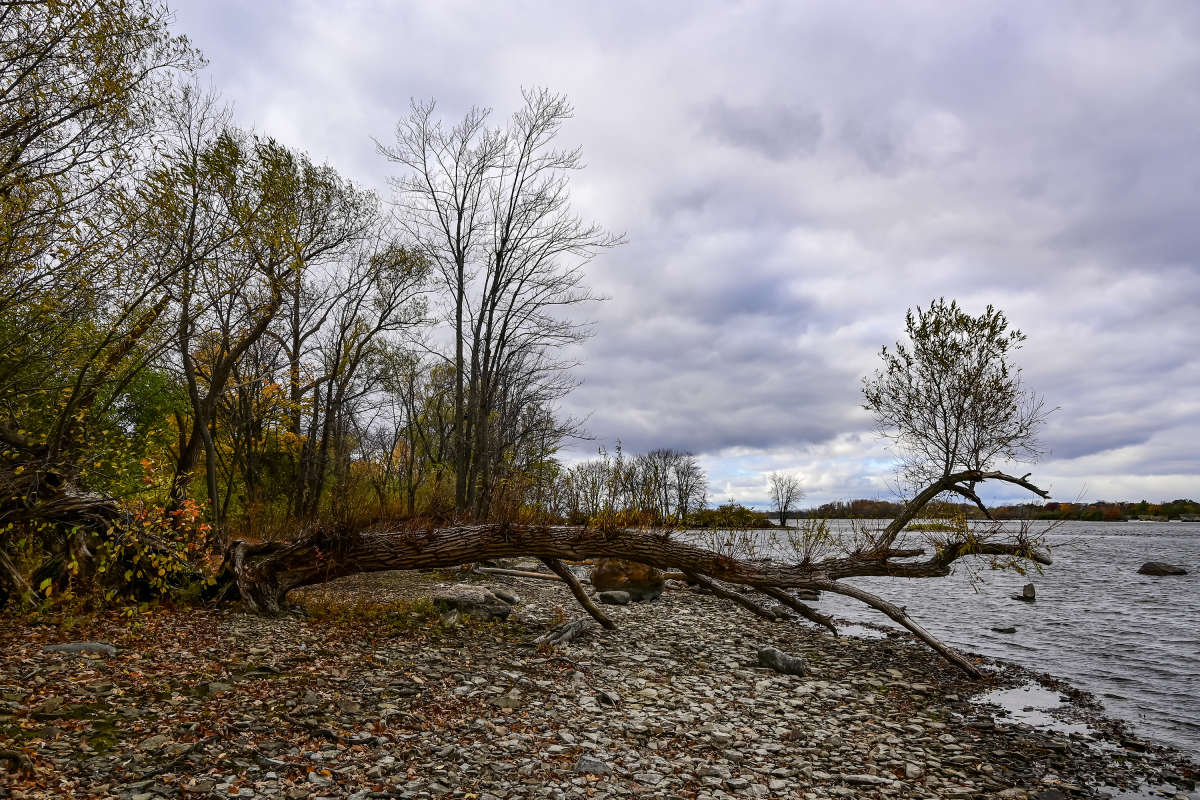    !     PhotoGeek.ru #  