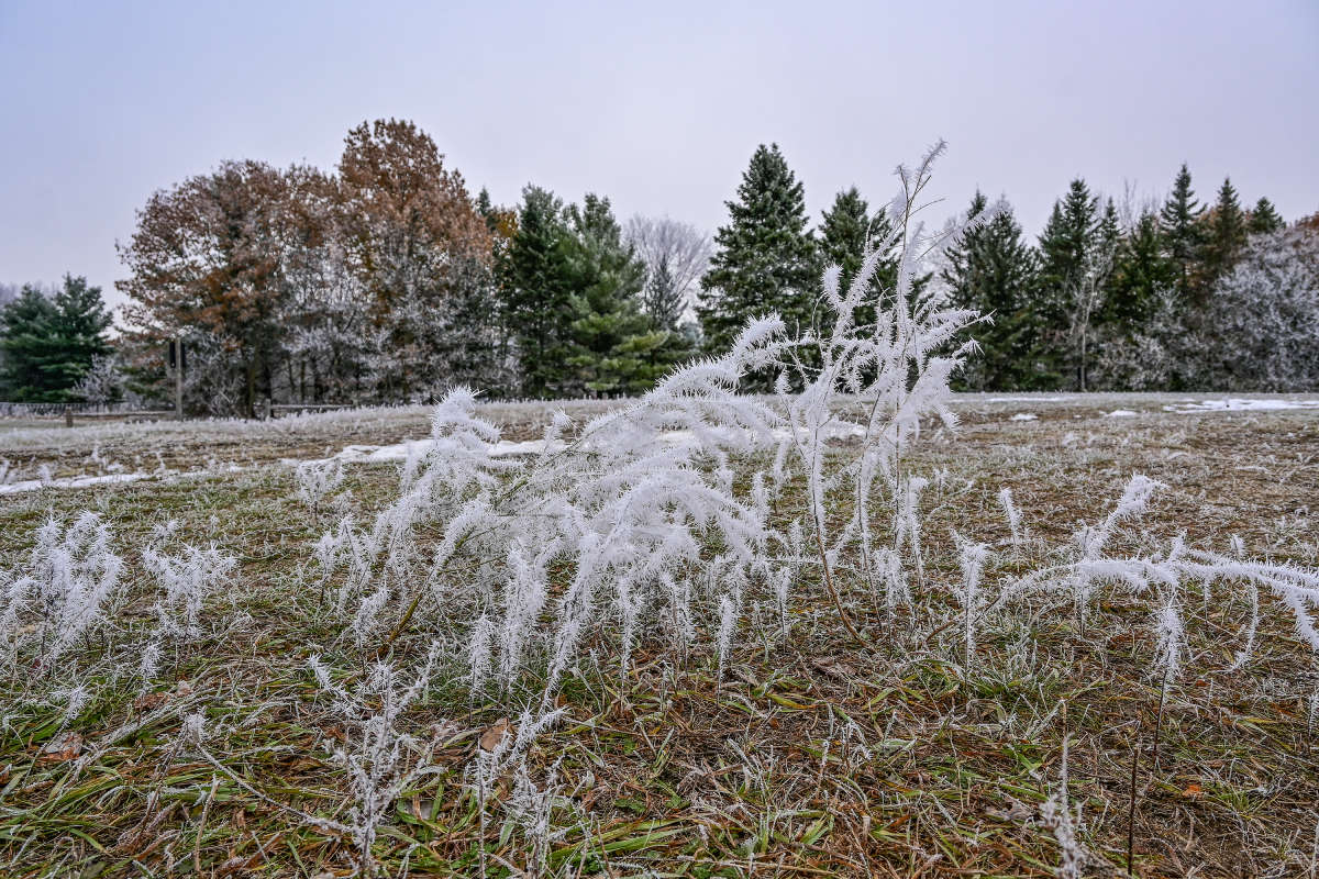 ������ � ������ ����� �������  �� PhotoGeek.ru #������ ��� �������