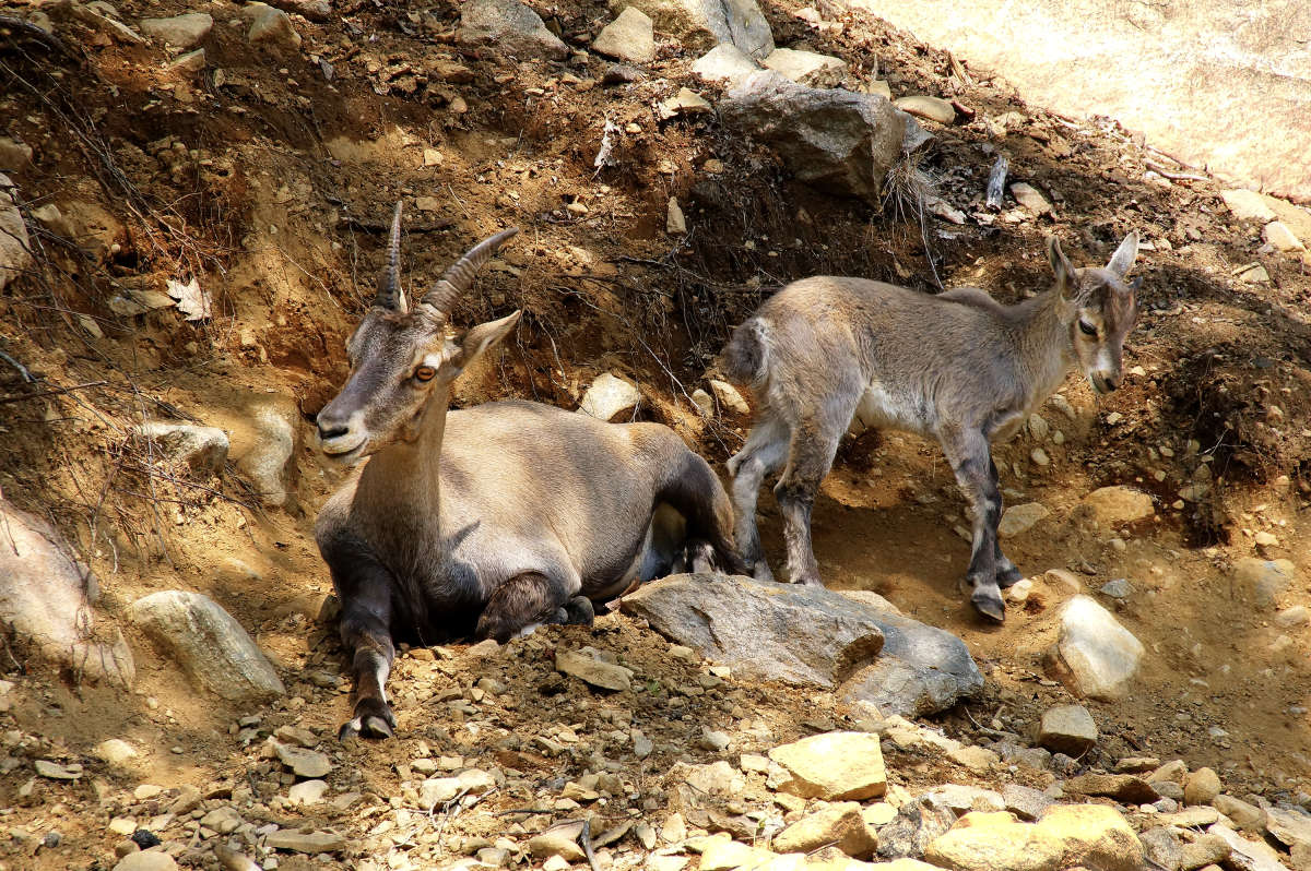 ���������� ������� ����� �������  �� PhotoGeek.ru #�������� ����������