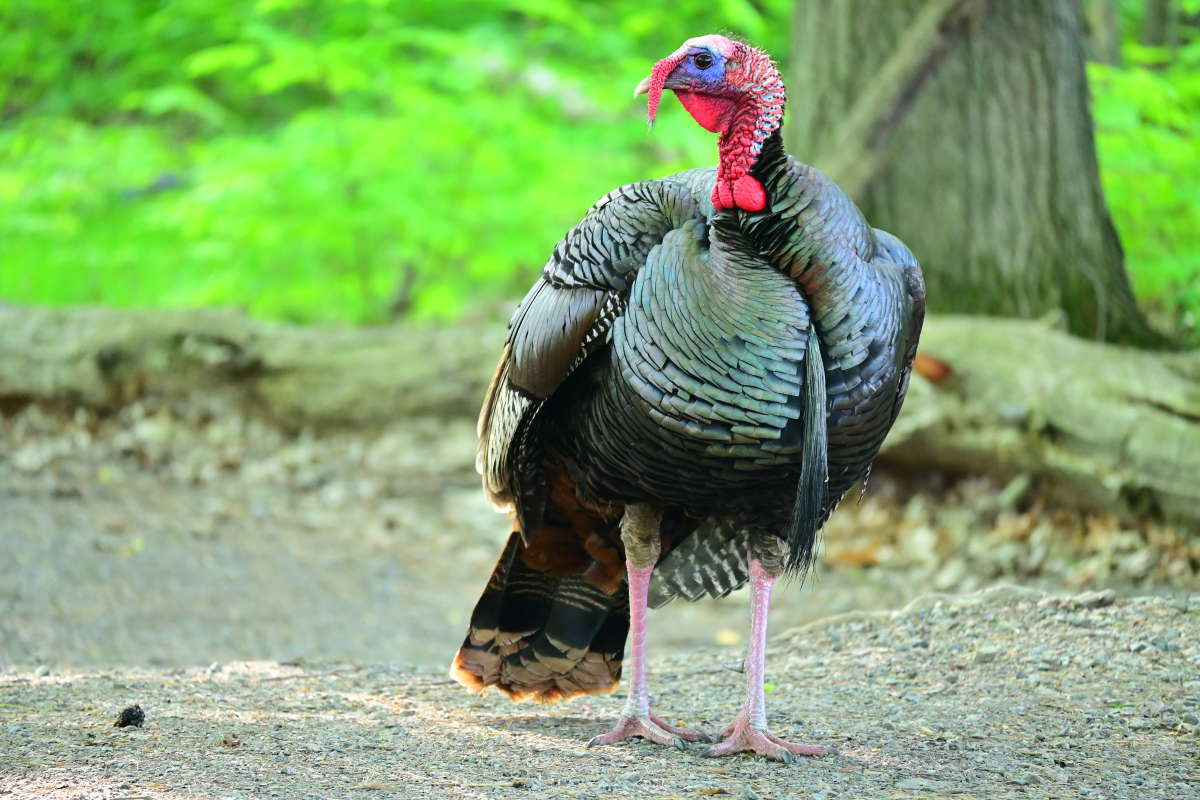 �� ����� ����� �������  �� PhotoGeek.ru #�������� ���