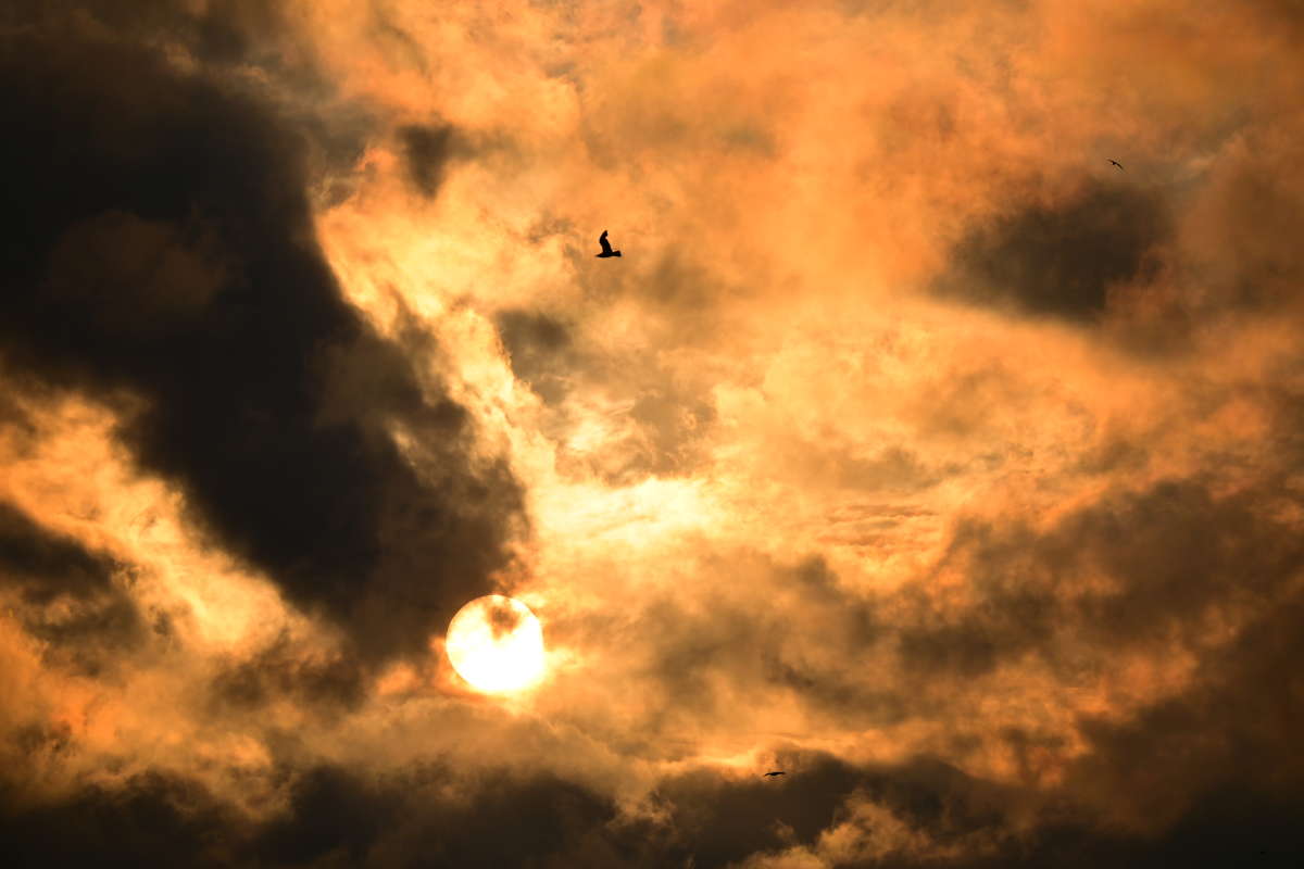 ���� ������ ����� �������  �� PhotoGeek.ru #������ ��� �������