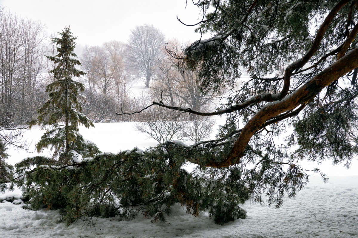 ��������� ����� �������  �� PhotoGeek.ru #������ ��� �������