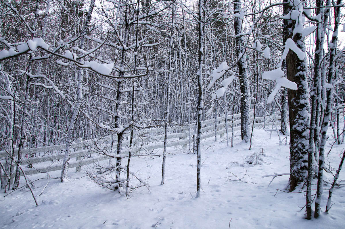 �������� ����� �������  �� PhotoGeek.ru #������ ��� �������