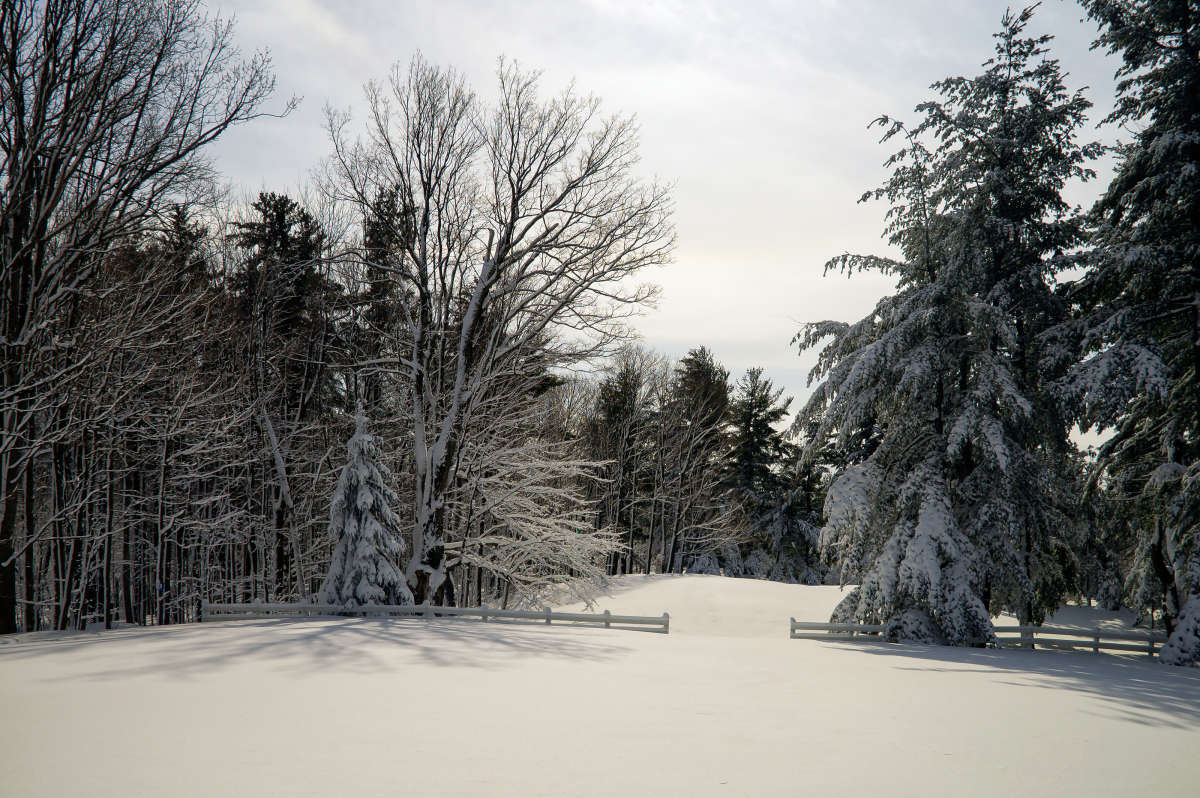 ������� ����� �������  �� PhotoGeek.ru #������ ��� �������