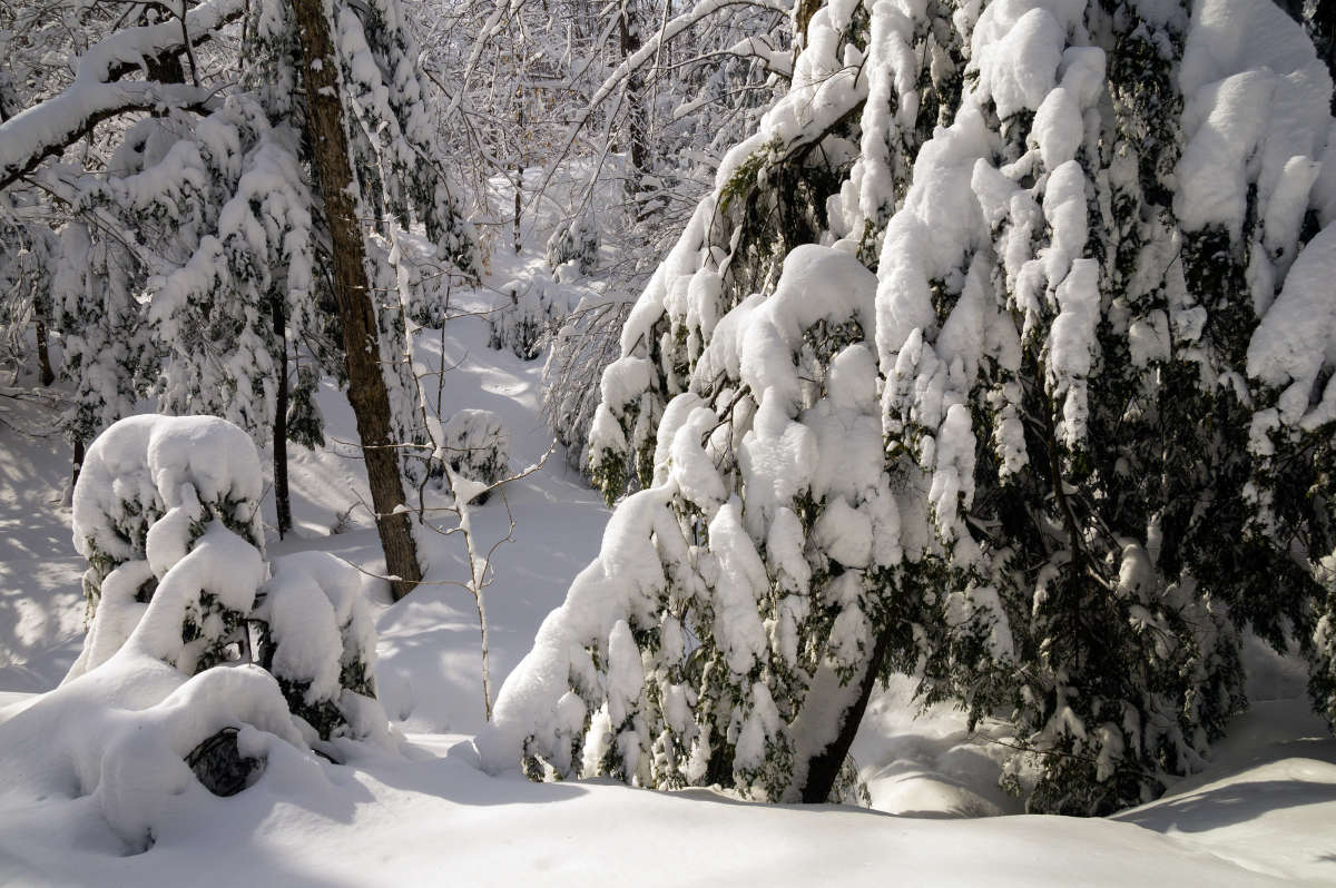 ������ ������ ����� �������  �� PhotoGeek.ru #������ ��� �������