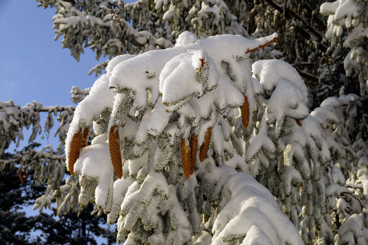 ����������� ����� �������  �� PhotoGeek.ru #������ ��� �������