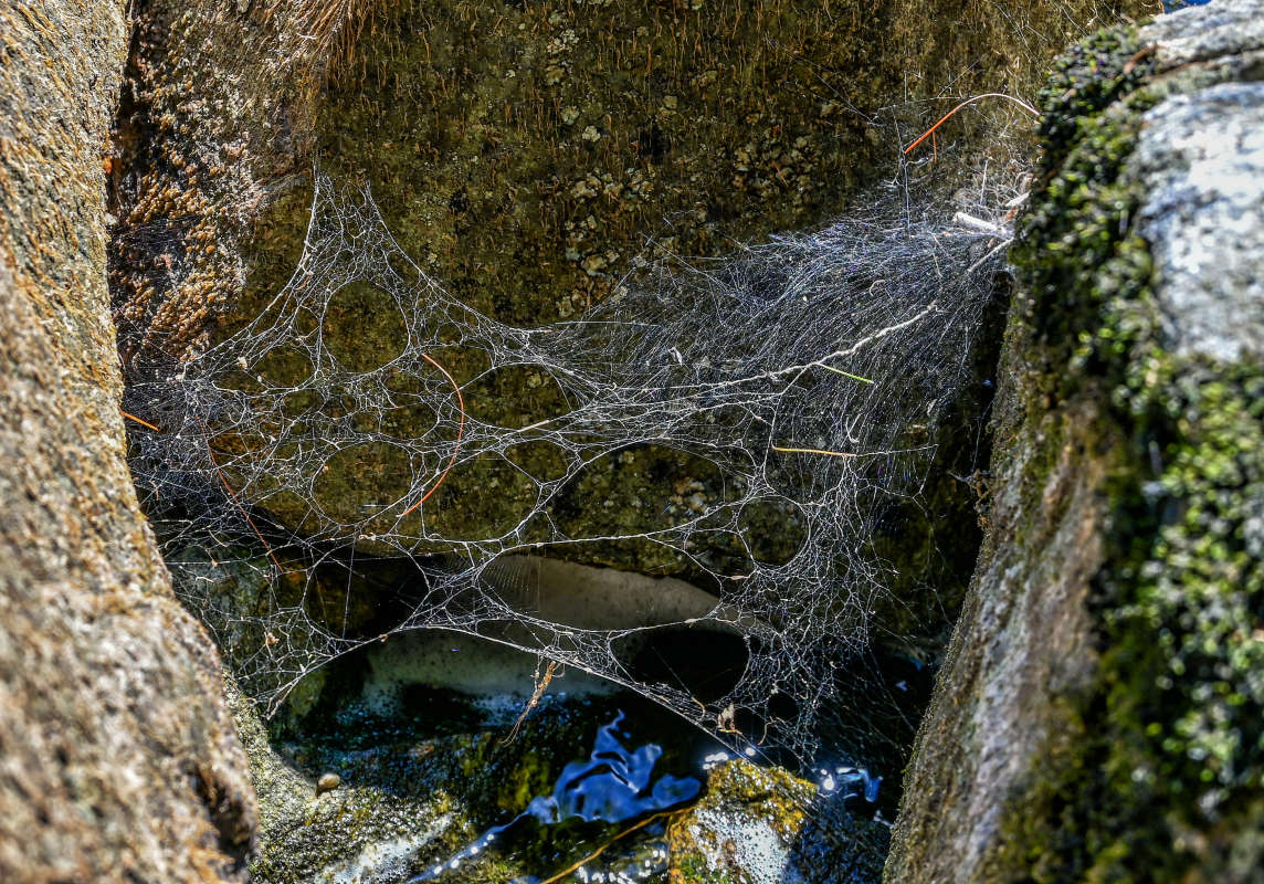 ���������� ����� �������  �� PhotoGeek.ru #�������� ���