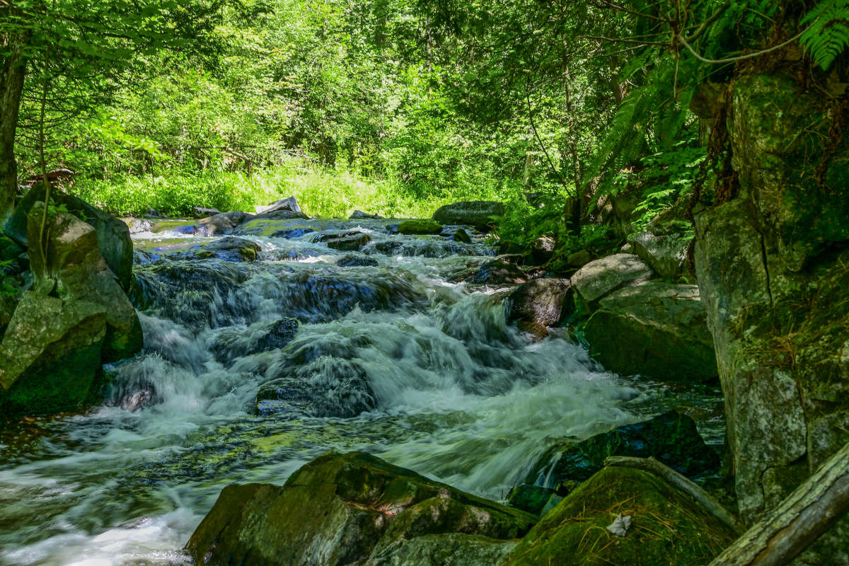 ����������� ����� �������  �� PhotoGeek.ru #������ ��� �������