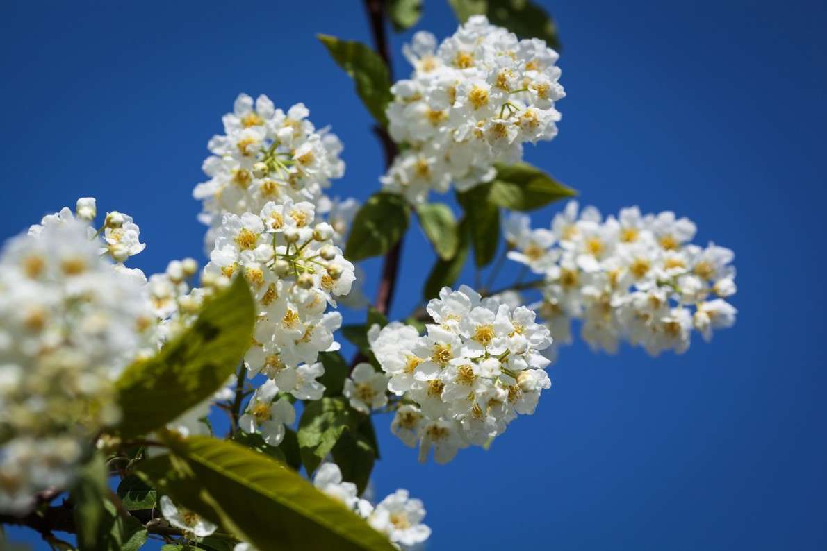 ����� ����� ����� ������  �� PhotoGeek.ru #������ ��� �������