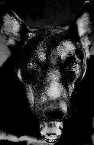 � ������ ������ ���� ������ ����� ����� ������  �� PhotoGeek.ru #�������� ���