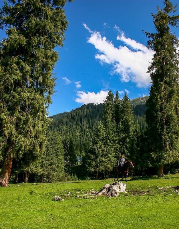 ������ � ����� ����� ������  �� PhotoGeek.ru #������ ��� �������