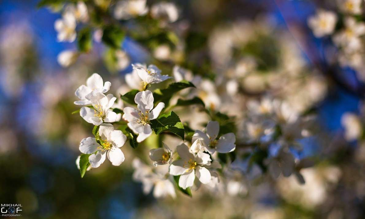 ������ ����� ����� ������  �� PhotoGeek.ru #������ ��� �������