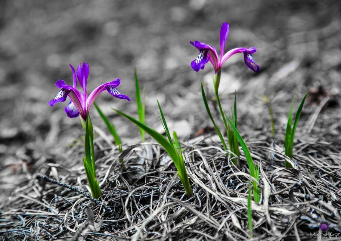 ���������� �����,����� �������� ���� ����� ������  �� PhotoGeek.ru #������ ��� �������