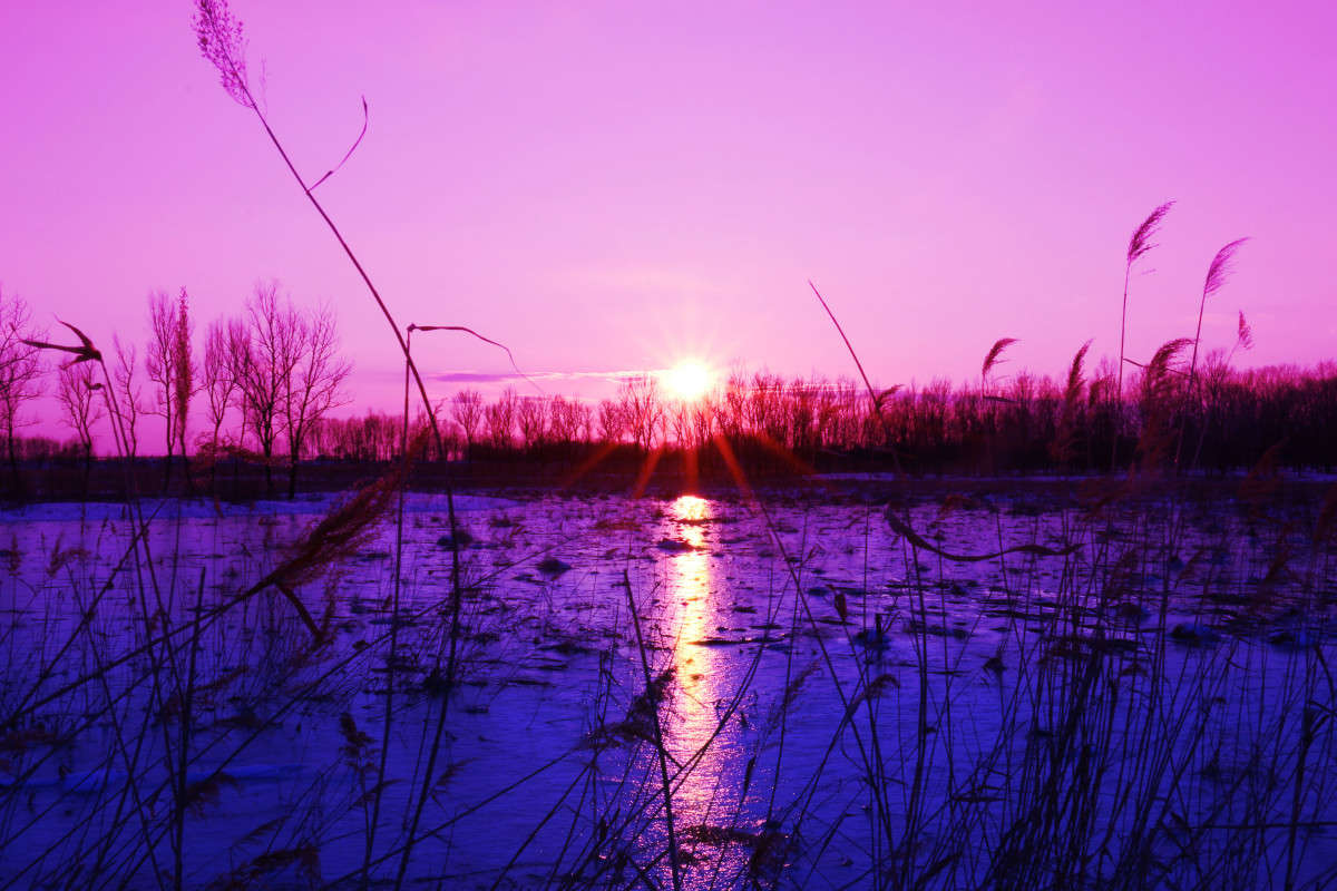 ... ����� �������  ���������  �� PhotoGeek.ru #������ ��� �������